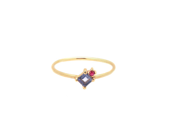 Tanzanite Gold Charm